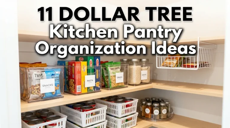 11 Dollar Tree Kitchen Pantry Organization Ideas
